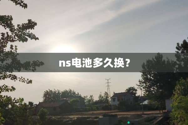 ns电池多久换？