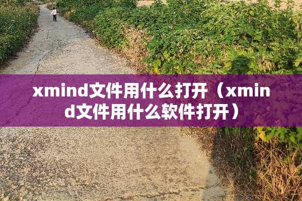 xmind文件用什么打开（xmind文件用什么软件打开）