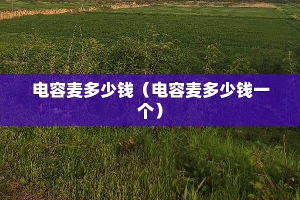 电容麦多少钱（电容麦多少钱一个）