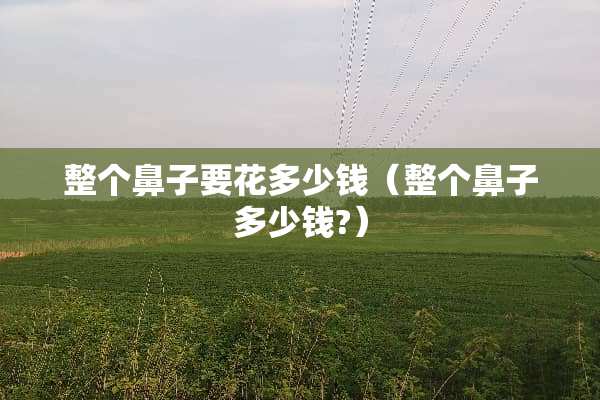 整个鼻子要花多少钱（整个鼻子多少钱?）
