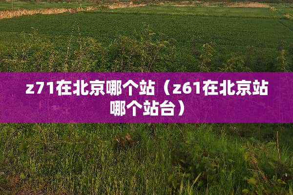 z71在北京哪个站（z61在北京站哪个站台）