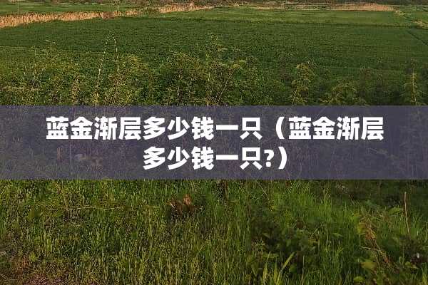 蓝金渐层多少钱一只（蓝金渐层多少钱一只?）