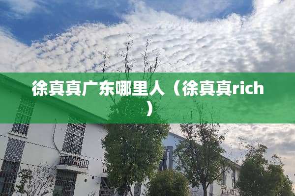 徐真真广东哪里人（徐真真rich）