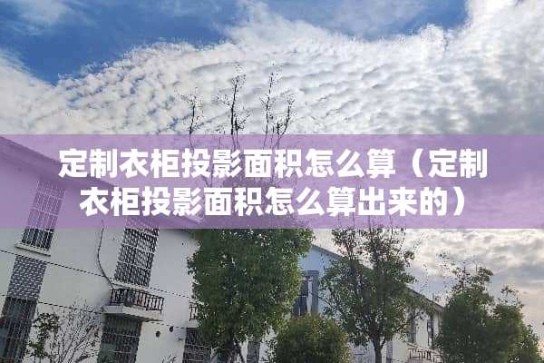 定制衣柜投影面积怎么算（定制衣柜投影面积怎么算出来的）