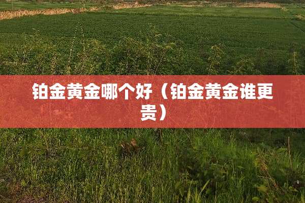 铂金黄金哪个好（铂金黄金谁更贵）