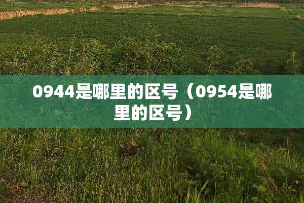 0944是哪里的区号（0954是哪里的区号）