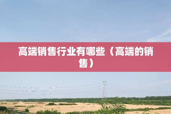 高端销售行业有哪些（高端的销售）
