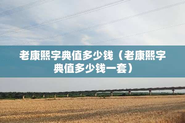 老康熙字典值多少钱（老康熙字典值多少钱一套）