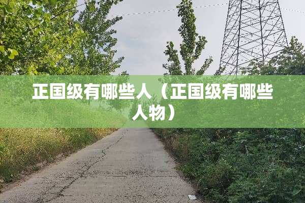 正国级有哪些人（正国级有哪些人物）