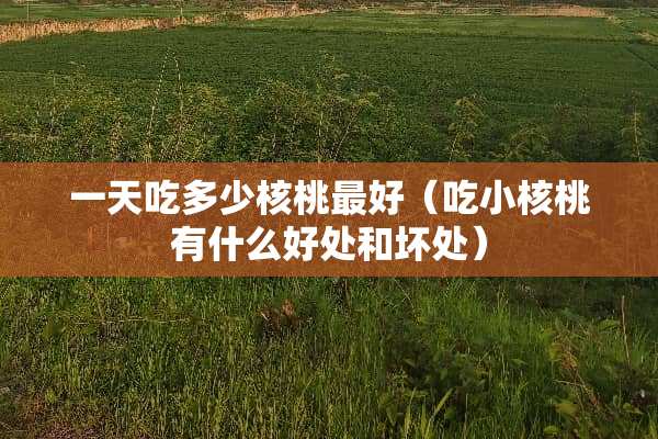 一天吃多少核桃最好（吃小核桃有什么好处和坏处）