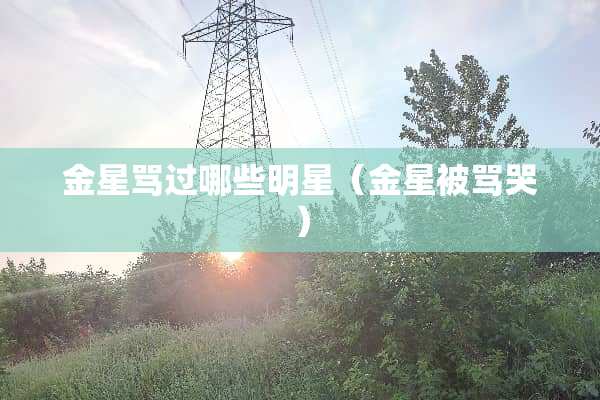 金星骂过哪些明星（金星被骂哭）