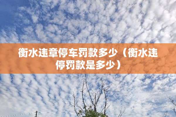 衡水违章停车罚款多少（衡水违停罚款是多少）