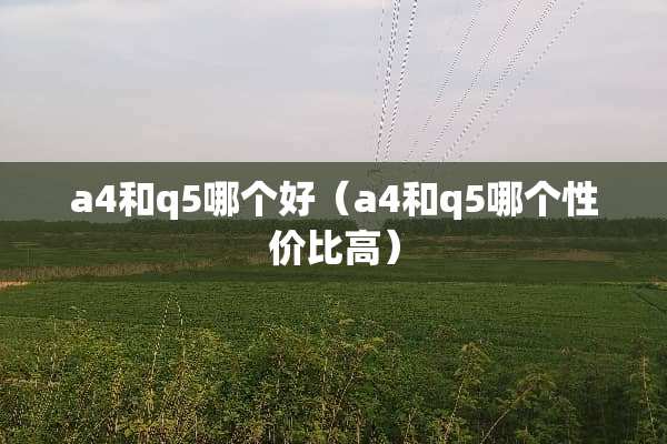 a4和q5哪个好（a4和q5哪个性价比高）