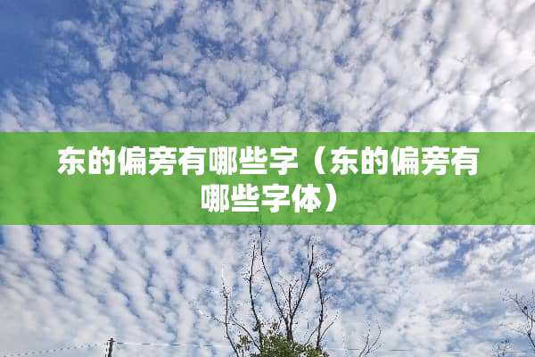东的偏旁有哪些字（东的偏旁有哪些字体）