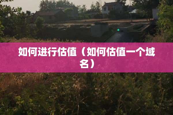 如何进行估值（如何估值一个域名）