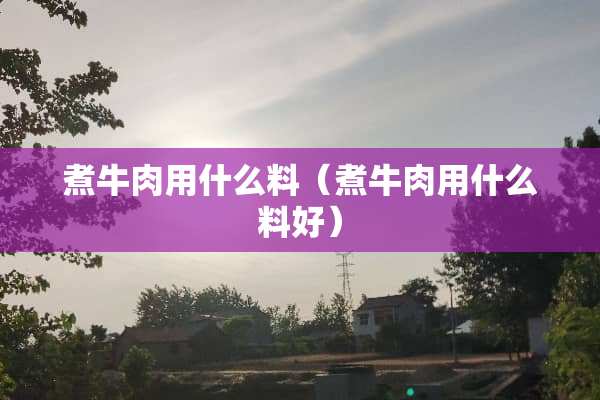 煮牛肉用什么料（煮牛肉用什么料好）