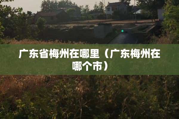 广东省梅州在哪里（广东梅州在哪个市）