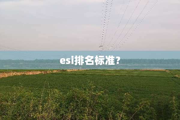 esi排名标准？