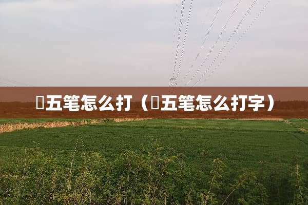 犇五笔怎么打（犇五笔怎么打字）