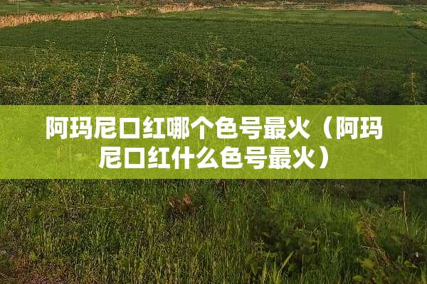 阿玛尼口红哪个色号最火（阿玛尼口红什么色号最火）