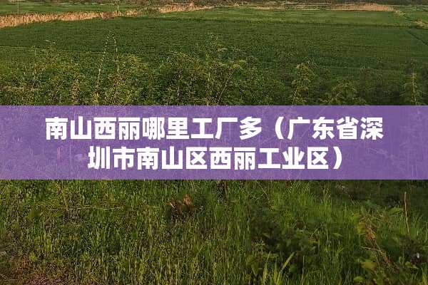 南山西丽哪里工厂多（广东省深圳市南山区西丽工业区）