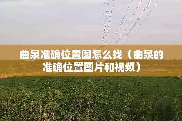 曲泉准确位置图怎么找（曲泉的准确位置图片和视频）
