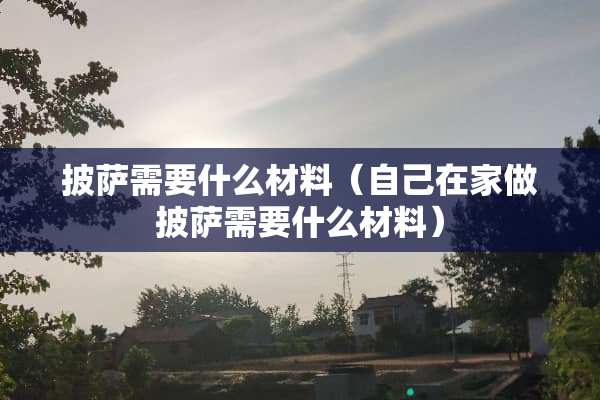 披萨需要什么材料（自己在家做披萨需要什么材料）