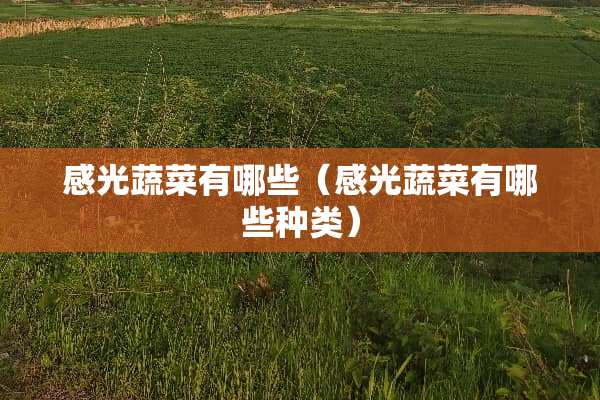 感光蔬菜有哪些（感光蔬菜有哪些种类）