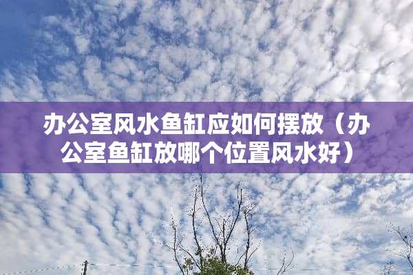 办公室风水鱼缸应如何摆放（办公室鱼缸放哪个位置风水好）