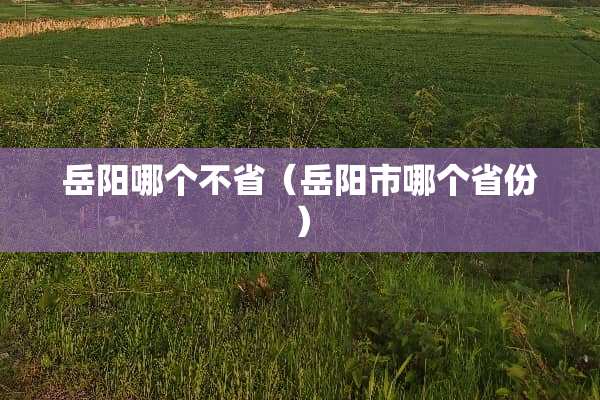 岳阳哪个不省（岳阳市哪个省份）