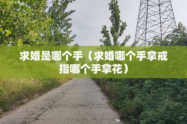 求婚是哪个手（求婚哪个手拿戒指哪个手拿花）