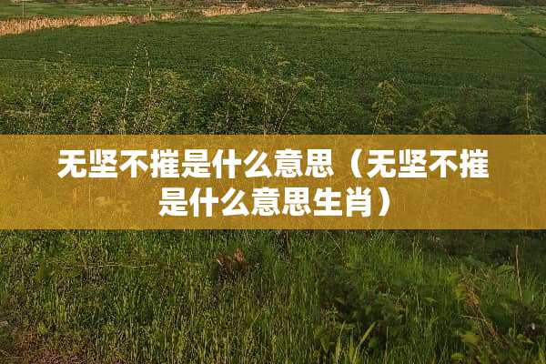 无坚不摧是什么意思（无坚不摧是什么意思生肖）