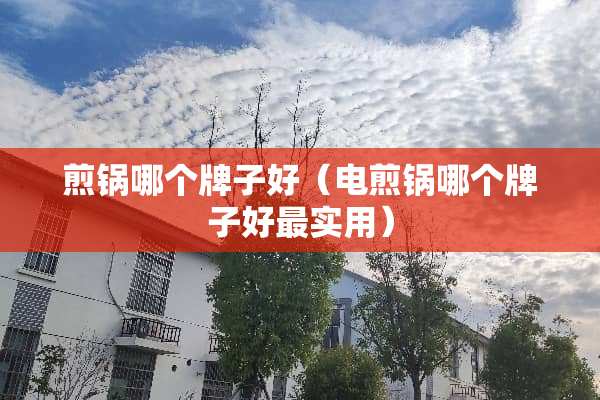 煎锅哪个牌子好（电煎锅哪个牌子好最实用）