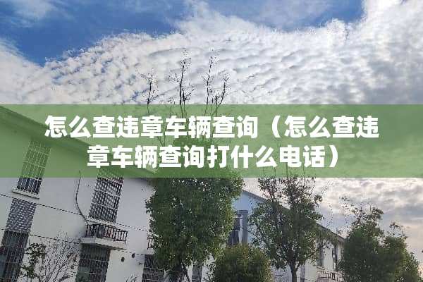 怎么查违章车辆查询（怎么查违章车辆查询打什么电话）