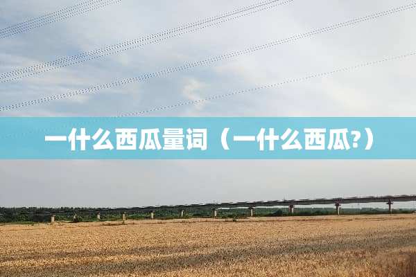 一什么西瓜量词（一什么西瓜?）