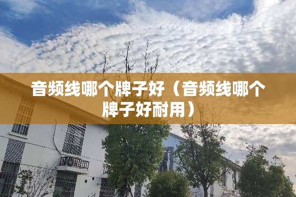 音频线哪个牌子好（音频线哪个牌子好耐用）