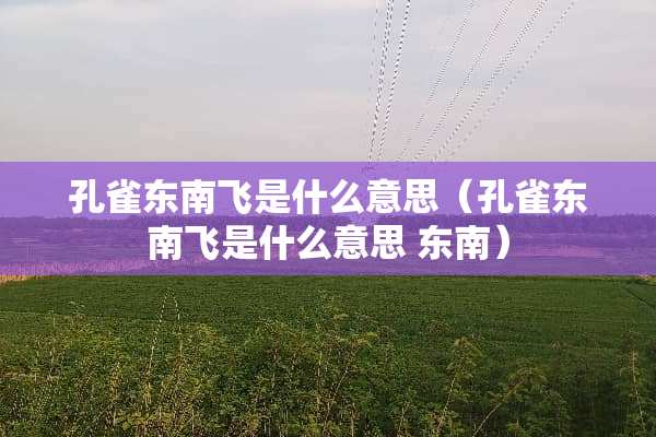 孔雀东南飞是什么意思（孔雀东南飞是什么意思 东南）