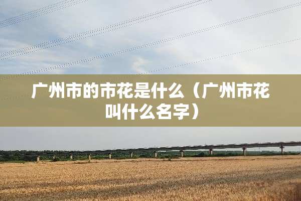 广州市的市花是什么（广州市花叫什么名字）
