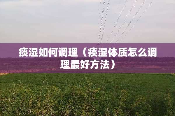 痰湿如何调理（痰湿体质怎么调理最好方法）