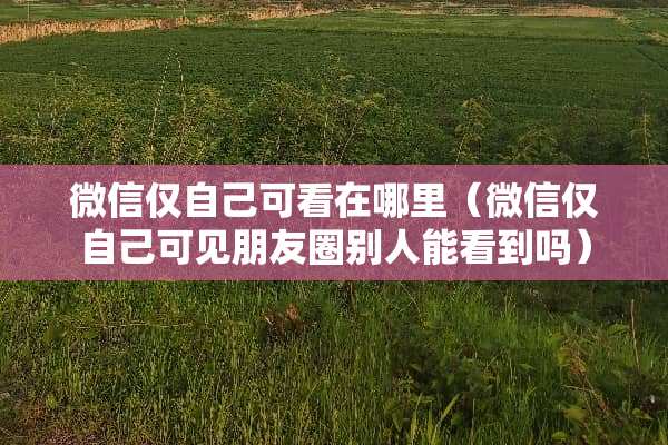 微信仅自己可看在哪里（微信仅自己可见朋友圈别人能看到吗）
