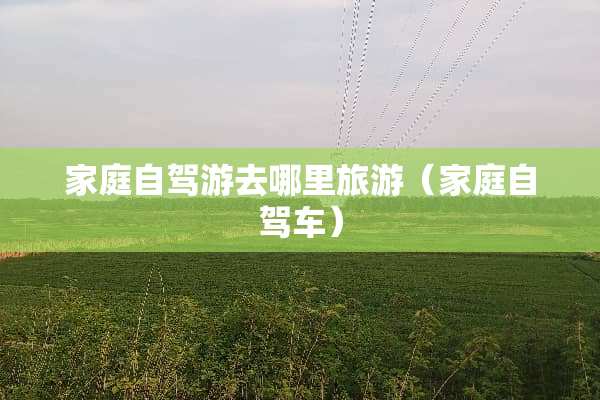 家庭自驾游去哪里旅游（家庭自驾车）