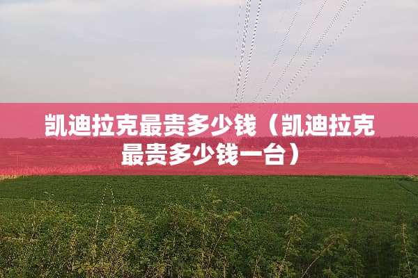 凯迪拉克最贵多少钱（凯迪拉克最贵多少钱一台）