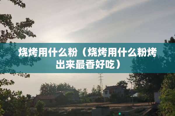 烧烤用什么粉（烧烤用什么粉烤出来最香好吃）