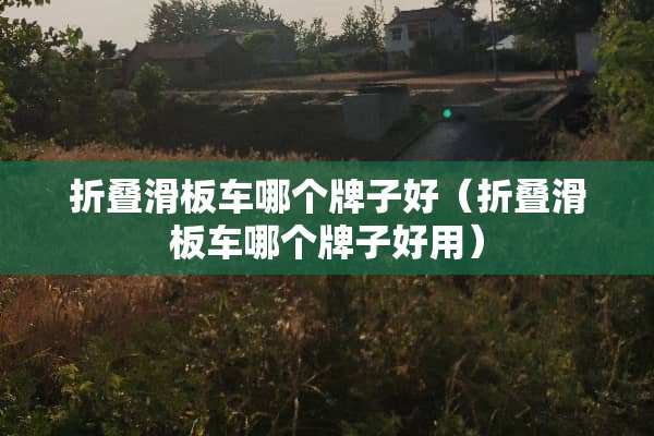 折叠滑板车哪个牌子好（折叠滑板车哪个牌子好用）
