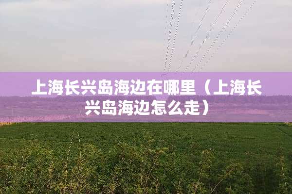 上海长兴岛海边在哪里（上海长兴岛海边怎么走）
