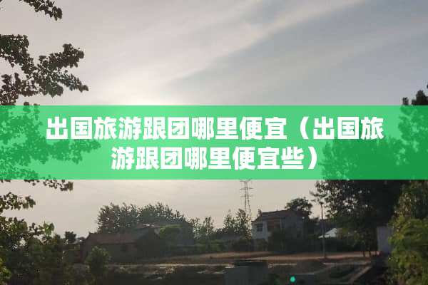 出国旅游跟团哪里便宜（出国旅游跟团哪里便宜些）