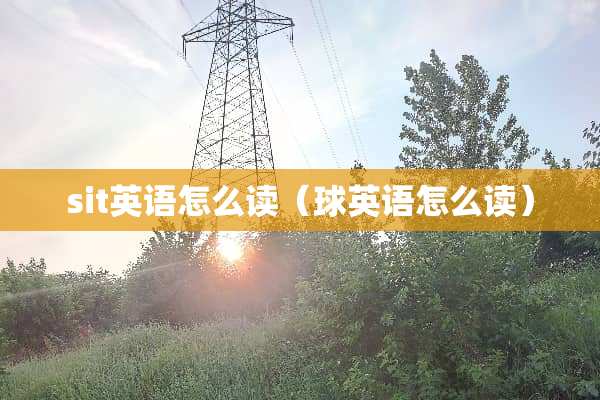sit英语怎么读（球英语怎么读）