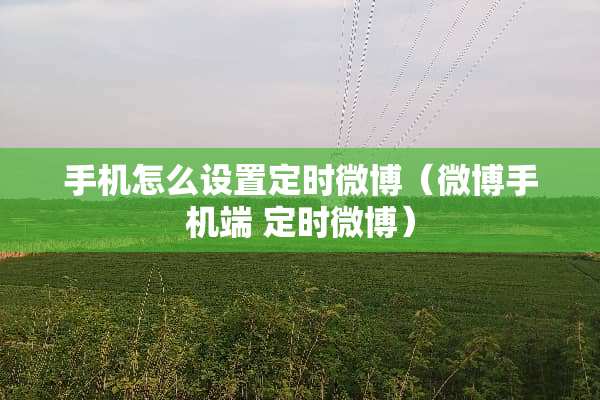 手机怎么设置定时微博（微博手机端 定时微博）