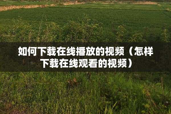 如何下载在线播放的视频（怎样下载在线观看的视频）