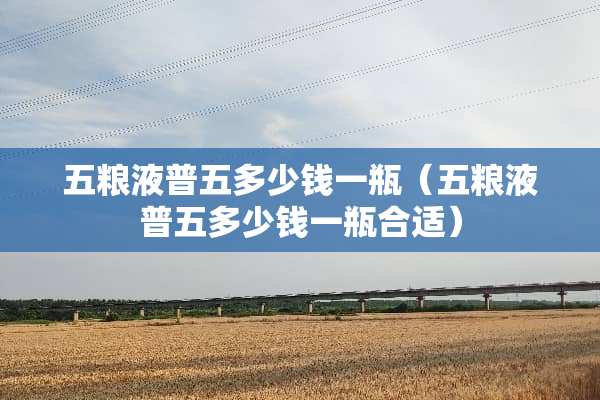 五粮液普五多少钱一瓶（五粮液普五多少钱一瓶合适）